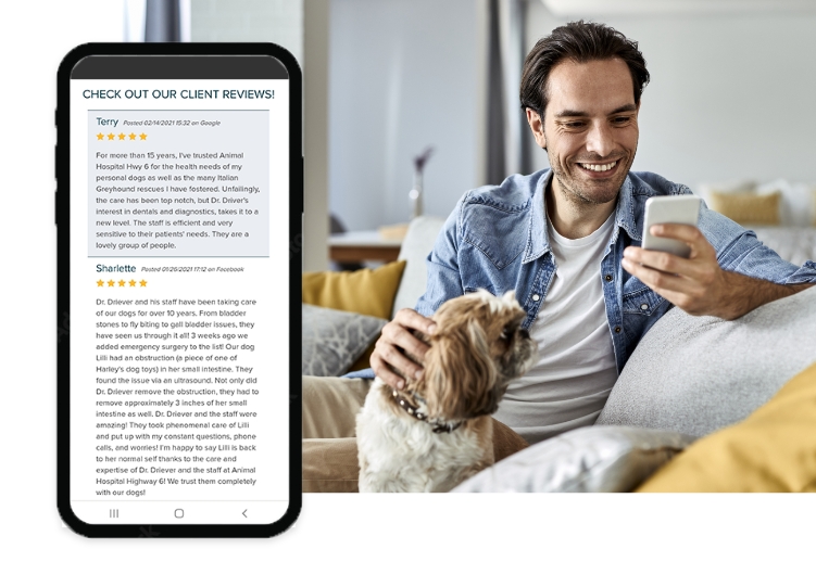 smiling man petting dog while looking at smartphone displaying reviews of vet practice