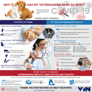 infomatic of why my vet has been so busy