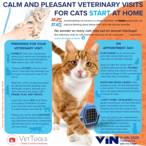 Pleasant vet visits for cats infomatic