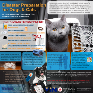 disaster prep for pet infomatic
