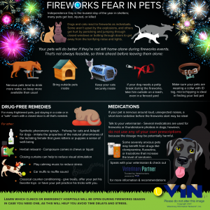 Infomatic for keeping your pet calm during fireworks