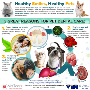 Infomatic for pet dental care