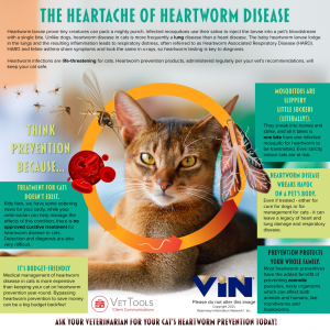Infomatic concerning heartworm disease