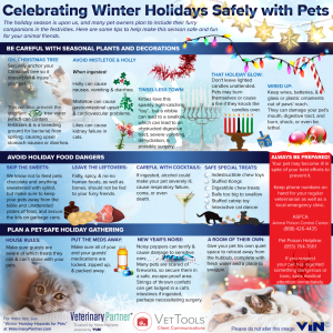 infomatic showing celebrating holidays safely with pets