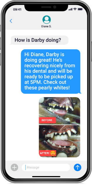 smartphone showing text messages between client and vet practice