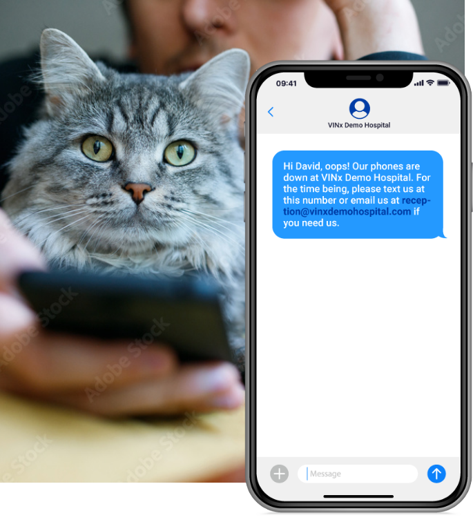 cat seated with person while person looks at smartphone displaying text message thread