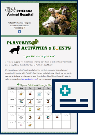 Infographic of play activities for pets