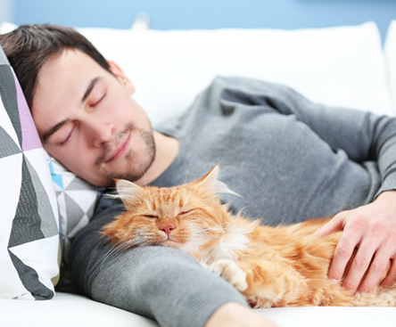 man napping on couch with cat