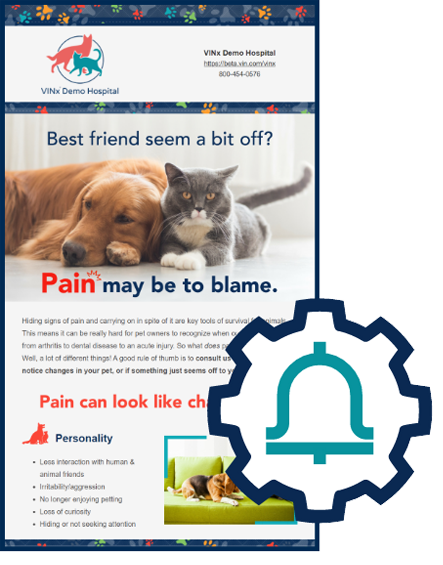 Infographic detailing signs of pain in pets