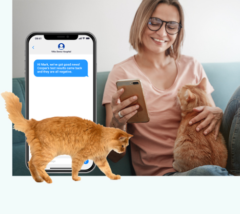 woman holding orange cat in lap while viewing text message thread on smartphone