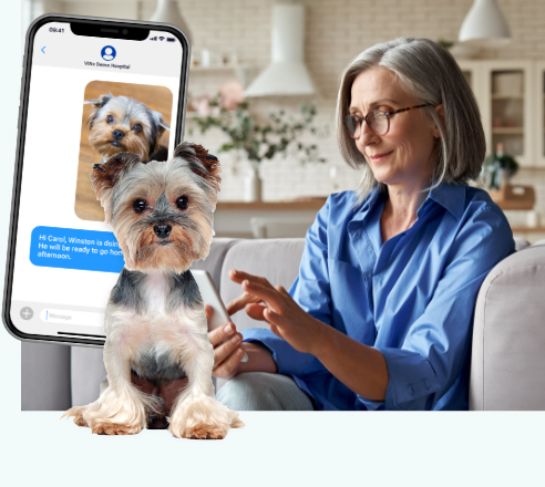 older woman interacting with smartphone displaying text messages between herself and the vet practice