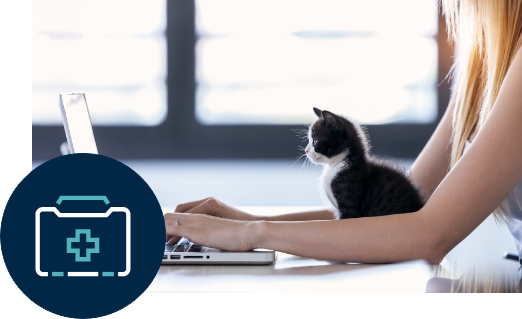 kitten looking at laptop screen while owner types on laptop keyboard
