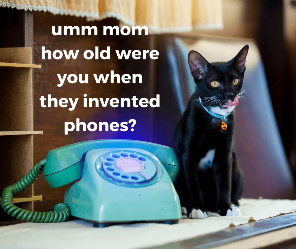 Tuxedo kitten with vintage phone