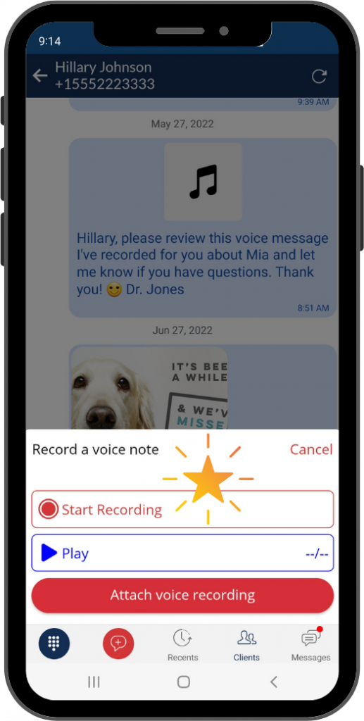 Screenshot - voice note by mobile phone