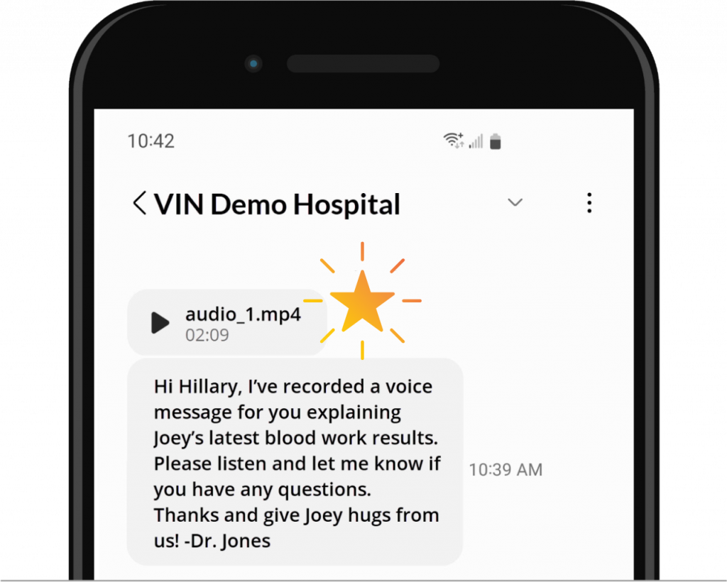 Text message with voice note