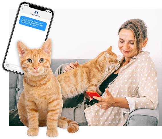 woman on couch, holding orange cat, and looking at smartphone