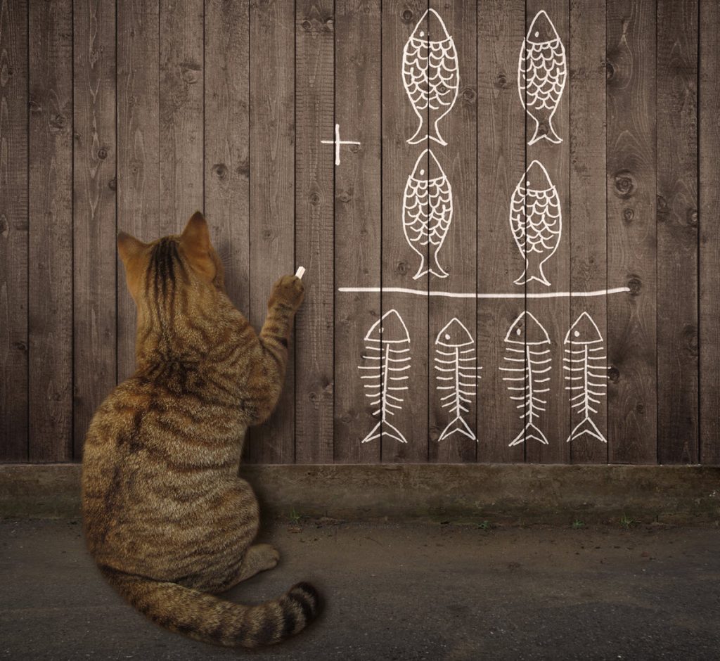 Brown tabby cat adding up fish to eat on the wall.