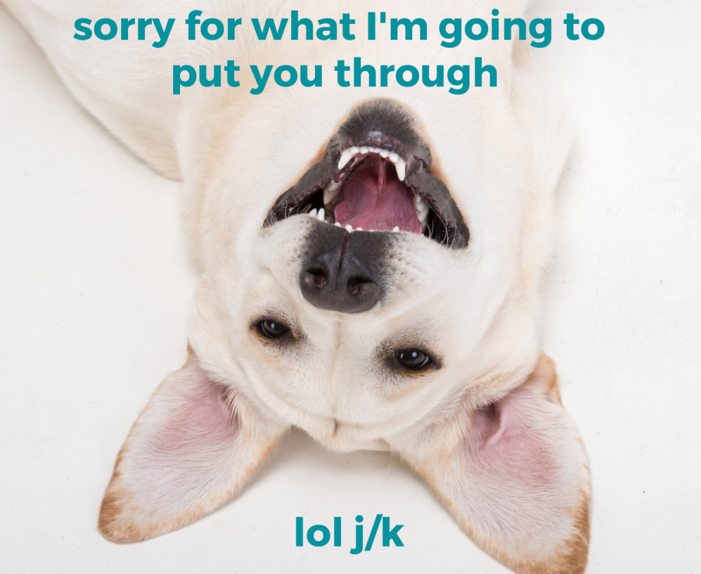 Very happy upside down Lab grinning at camera. Text: sorry for what I'm going to put you through, lol j/k